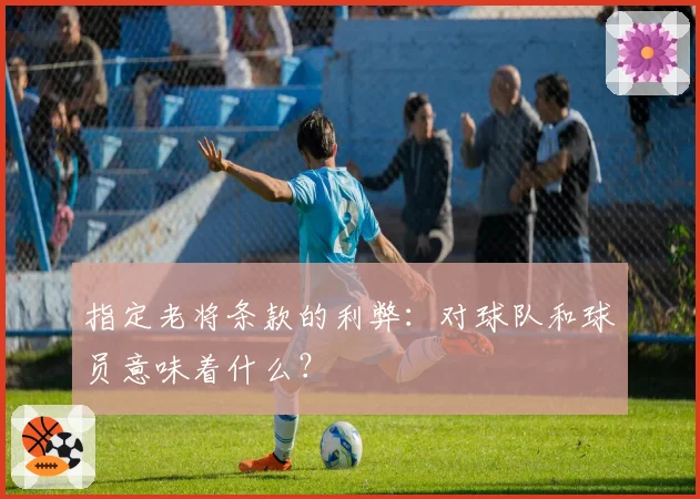 指定老将条款的利弊：对球队和球员意味着什么？