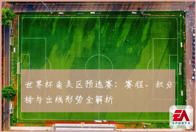 世界杯南美区预选赛：赛程、积分榜与出线形势全解析