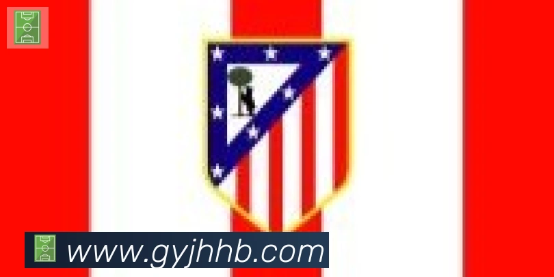 博亚app合作伙伴